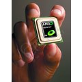 AMD Opteron Quad Core 2347 (socket F) BOX (w/o fan)_479926703