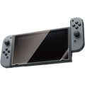 Hori Screen Protective Filter (SWITCH)