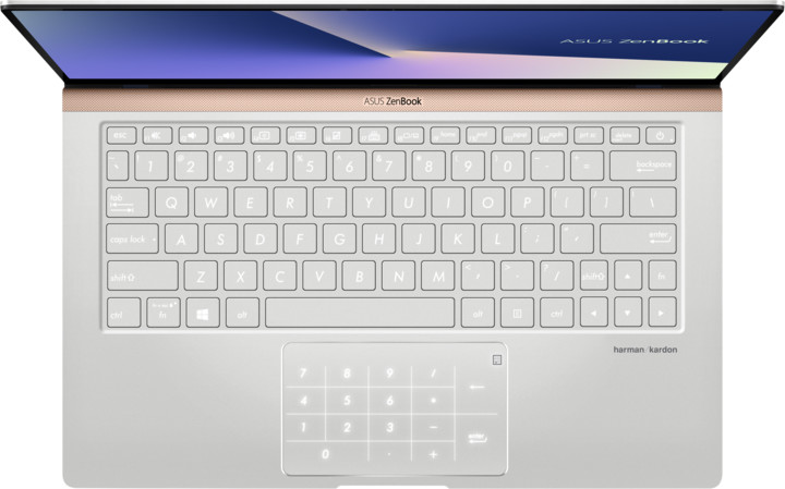 ASUS ZenBook 13 UX333FA, stříbrná_122230114
