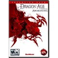 Dragon Age: Origins Awakening_279408891