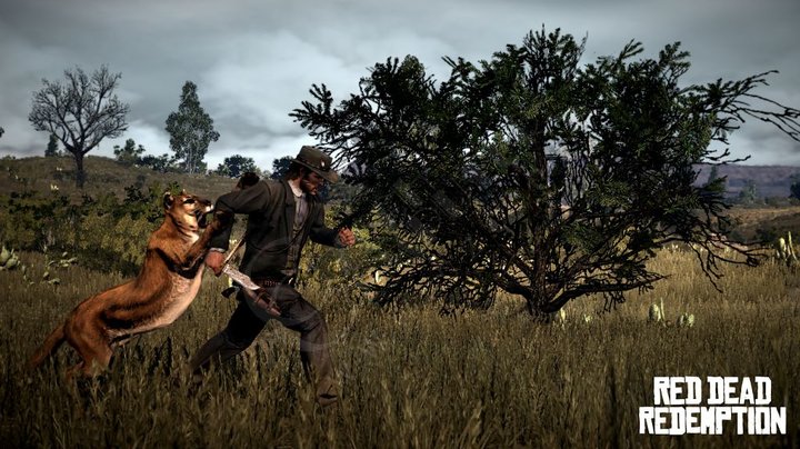 Red Dead Redemption (PS3)_1115711599