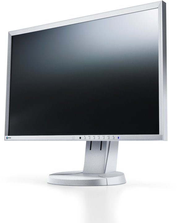 EIZO FlexScan EV2216WFS-GY - LED monitor 22&quot;_1793088821