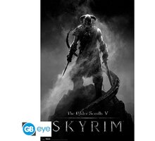 Plakát Skyrim - Dragonborn (91.5x61)_97347858