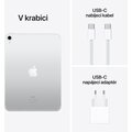 Apple iPad 2022, 256GB, Wi-Fi + Cellular, Silver_815834082