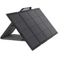 EcoFlow solární panel 220W_1336270641