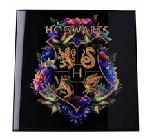 Obraz Harry Potter - Hogwarts Fine Oddities Crystal Clear Art Pictures (32x32)_315940221