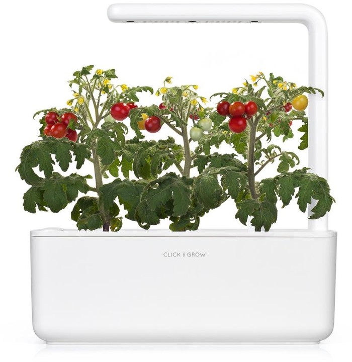 Click and Grow Smart Garden sazenice Mini rajčata_1794404474