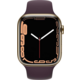 Apple Watch Series 7 Cellular, 45mm, Gold, Stainless Steel, Dark Cherry Sport Band