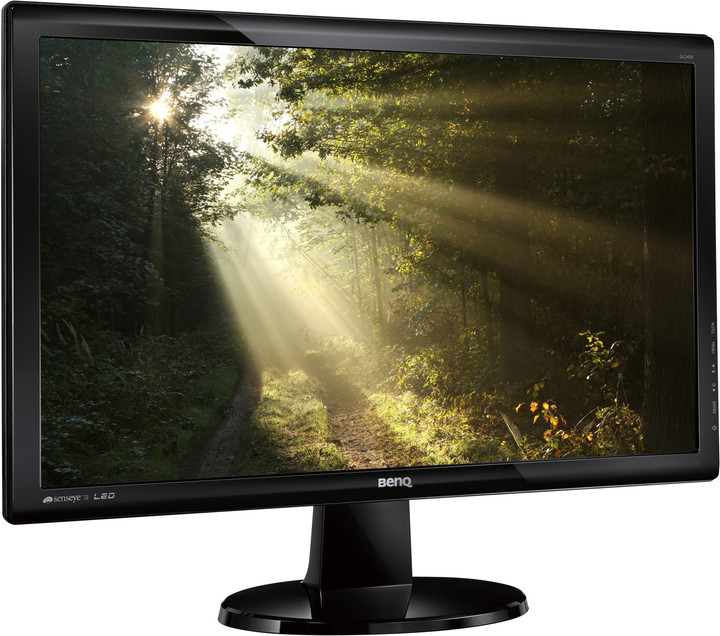 BenQ GL2450HM - LED monitor 24&quot;_381200226