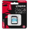 Kingston SDXC Canvas Go! 256GB, UHS-I U3_1589004279