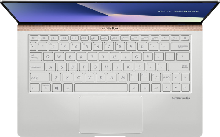 ASUS ZenBook 13 UX333FA, stříbrná_1765716598
