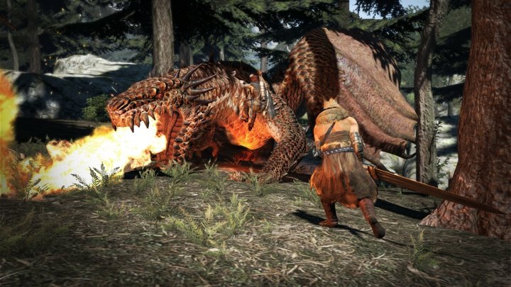Dragons Dogma (Xbox 360)_743957578