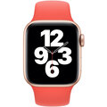 Apple řemínek pro Watch Series, sportovní, 40mm, růžová_1246298917