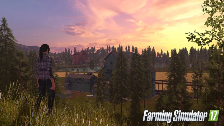 Farming Simulator 17 (PS4)_2092263891