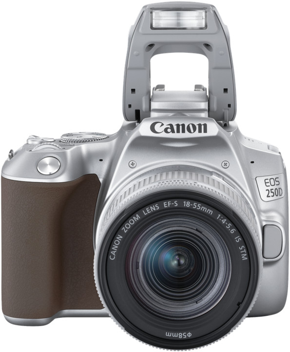 Canon EOS 250D + 18-55mm IS STM, stříbrná_2092162957