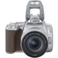 Canon EOS 250D + 18-55mm IS STM, stříbrná_2092162957
