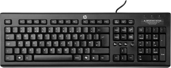 HP Classic Wired Keyboard_587837313