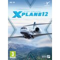 X-Plane 12 (PC)_1476259709