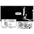Komiks Calvin a Hobbes: Svět je kouzelný, 11.díl_1729060297
