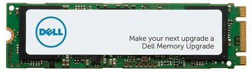 Dell server disk, M.2 - 256GB_1588096184