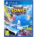 Team Sonic Racing - Special Edition (PS4)_160485758
