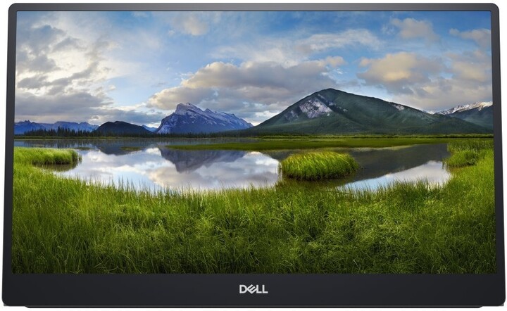 Dell C1422H - LED monitor 14"