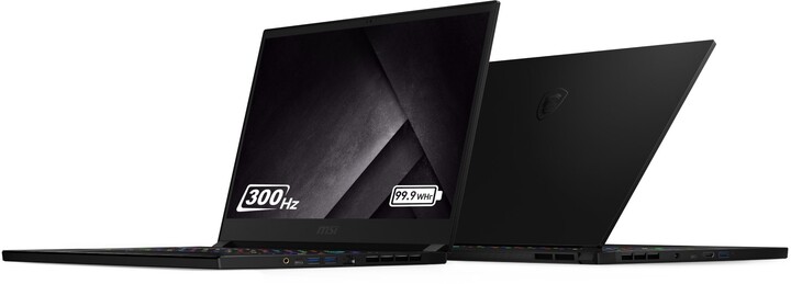 MSI GS66 Stealth 10SFS-257CZ, černá_553974480