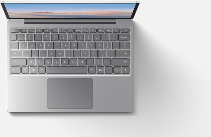 Microsoft Surface Laptop Go, platinová_306902330
