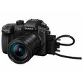 Panasonic Lumix DMC-GH5 + Leica DG 12-60mm f/2.8-4_1808288569