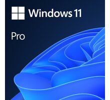 Microsoft Windows 11 Pro CZ (OEM) FQC-10525