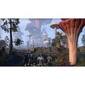 Elder Scrolls Online: Morrowind (Xbox ONE) - elektronicky_635870885