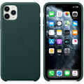 Apple kožený kryt na iPhone 11 Pro Max, piniově zelená_2065857830
