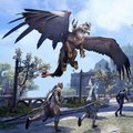 Pařan Jarda vs. – The Elder Scrolls Online: Summerset – Fascinující příběhy [videorecenze]