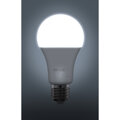 Retlux žárovka RLL 464, LED A67, E27, 20W, denní bílá_2115674975