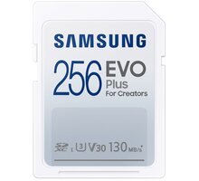 Samsung SDXC 256GB EVO Plus UHS-I U3 (Class 10) MB-SC256K/EU