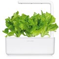 Click and Grow zelený salát, kapsle se semínky a substrátem 3ks_1755247213