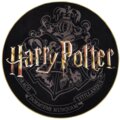 SUBSONIC Harry Potter Gaming Floor Mat, černá_493322901