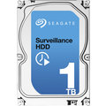 Seagate Surveillance - 1TB_975956759
