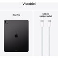 Apple iPad Pro Wi-Fi, 13&quot; 2024, 2TB, Space Black, Sklo s nanotexturou_872397168