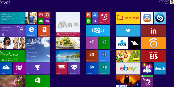 Microsoft Windows 8.1 CZ 64bit OEM_1931071672