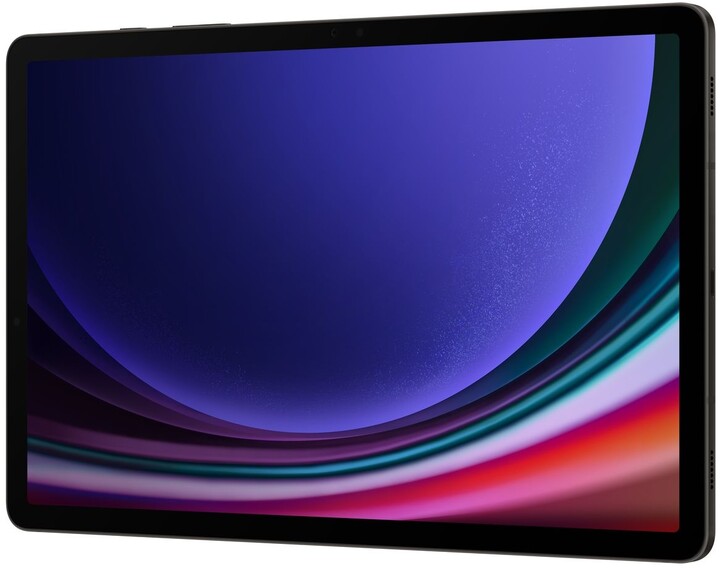 Samsung Galaxy Tab S9, 8GB/128GB, Gray_971876654