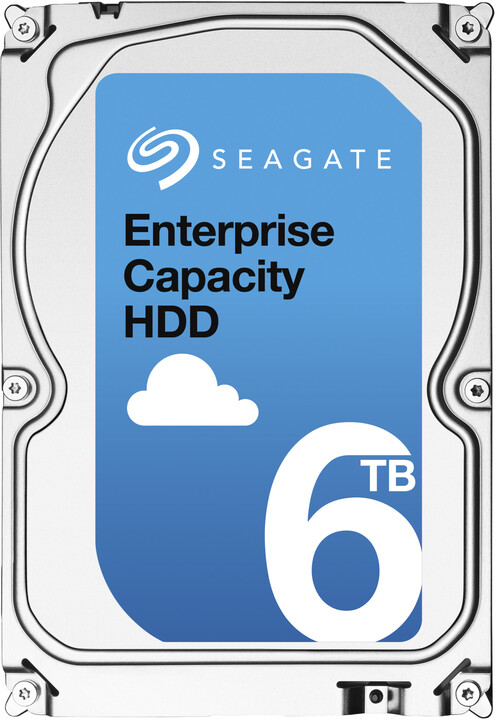 Seagate Enterprise SED SAS - 6TB_290351738