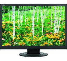 NEC AccuSync AS221WM-BK - LCD monitor 22&quot;_876939850