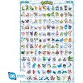 Plakát Pokemon - Hoenn Pokemon English (91.5x61)_267749988