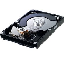 Samsung EcoGreen F3 - 2TB_808990796