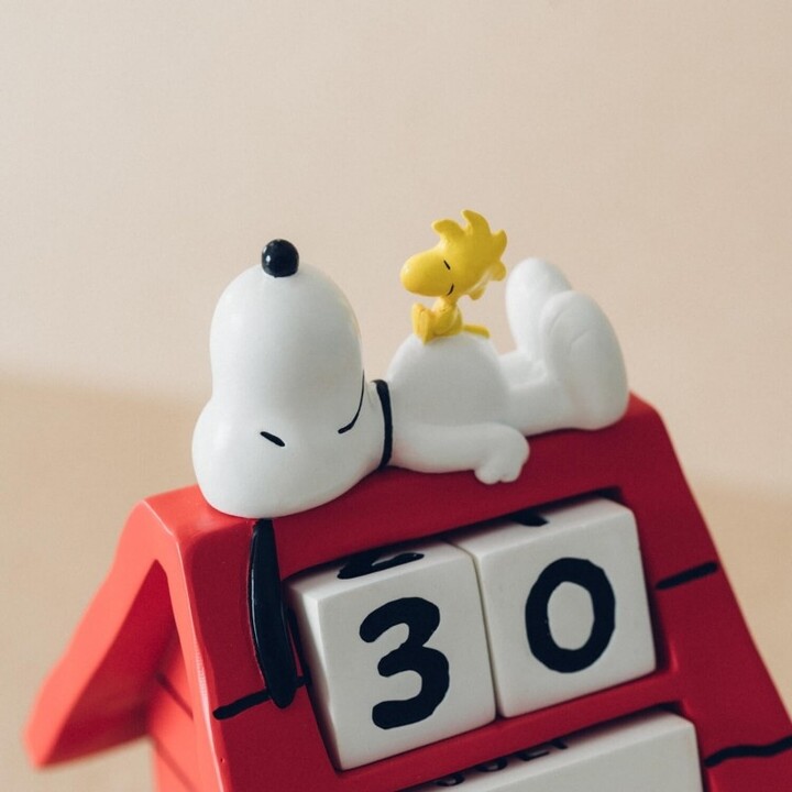 Nekonečný kalendář Snoopy_969970016