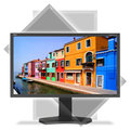 NEC MultiSync PA322UHD - 4K LED monitor 32&quot;_1476662898