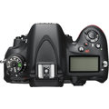 Nikon D610 + 24-85 AF-S_1797734041