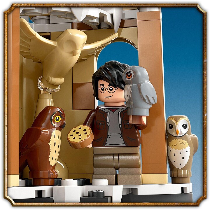 LEGO® Harry Potter™ 76430 Sovinec na Bradavickém hradě_1357007314