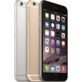 Apple iPhone 6 Plus - 16GB, stříbrná_169631221